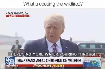 Trump the scientish guy.🤓