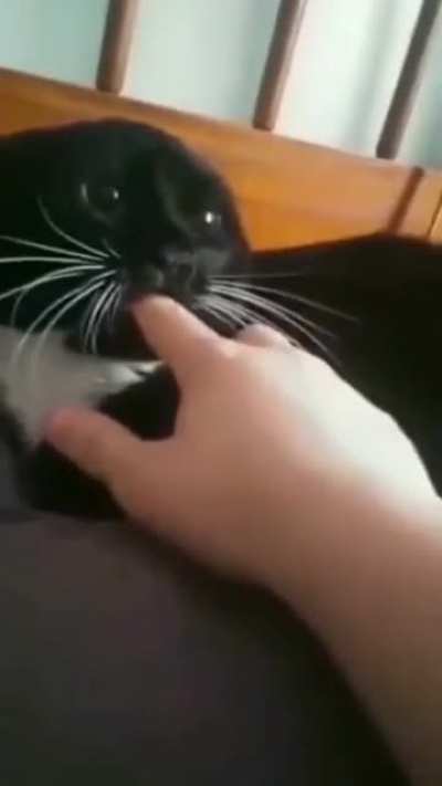 NomNom