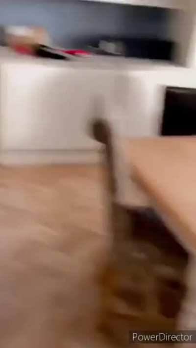 Venha para a festa louca de demônio, HOJE AS 03:33 da manhã!