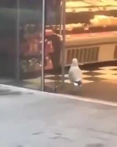 Enough is enough the looting has got to stop