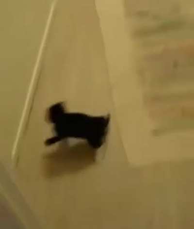 Here I come to save the...nope.