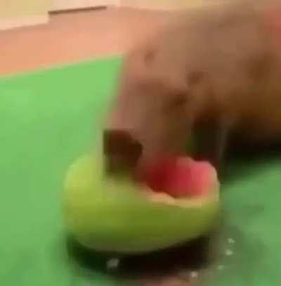 Watermelon