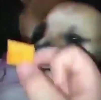 Cheese-It foo’