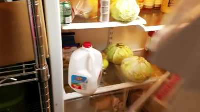 milk