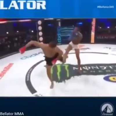 MMA fight at its finest