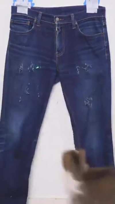Fashion designer
