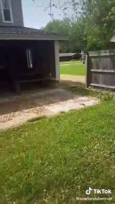 Oh deer