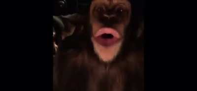 Great Ape at a campfire
