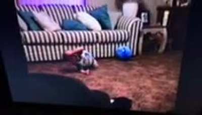Going through old home videos and came across this gem of me showing off my jumping skills