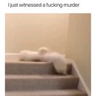 HoRrIfIc GrUeSoMe PuPpY oN pUpPy ViOlEnCe