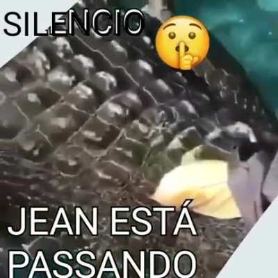 repeito ao jean