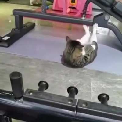 No pain no gain