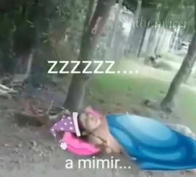 A nanar