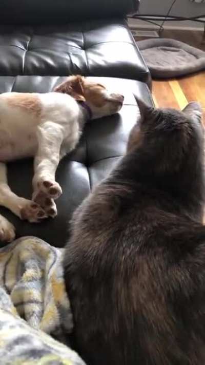 Wake up tap