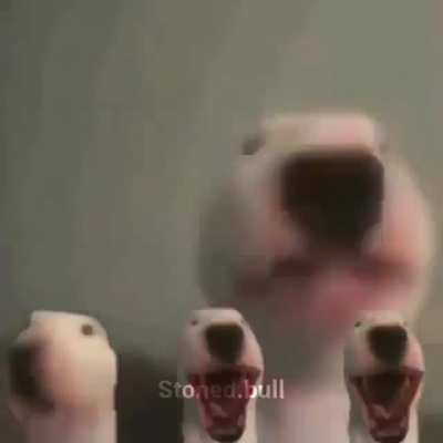 xD canto re piola