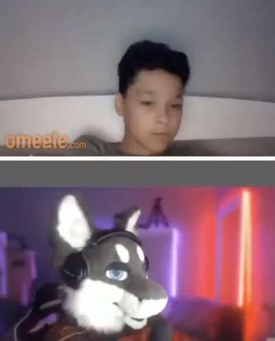 Furry_irl