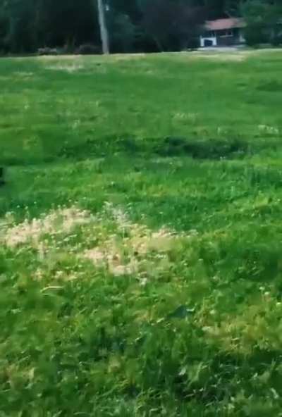 Wait for me
