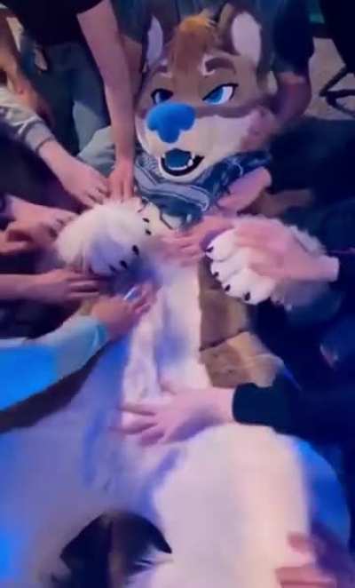 Winnercity party