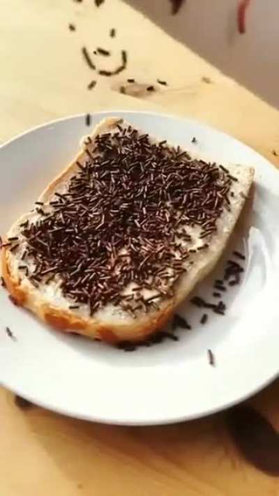 Sprinkles 🍫
