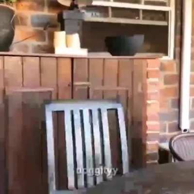 where did he go