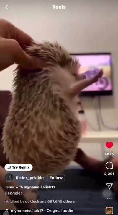 Ayoooo