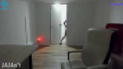 Momo Hombrelibre