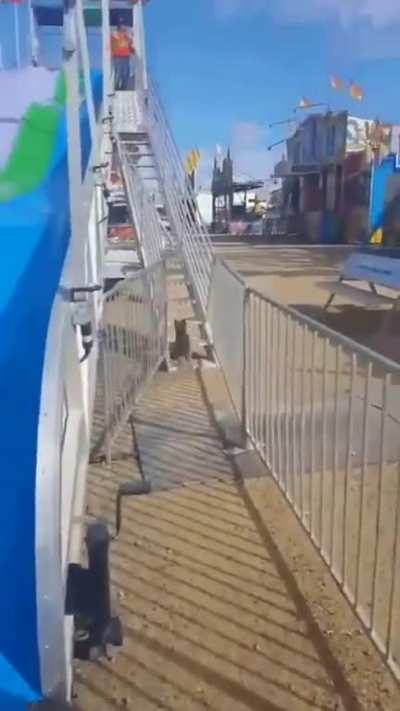 The joy of the slide is universal!