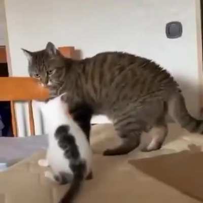 When your mother advises you