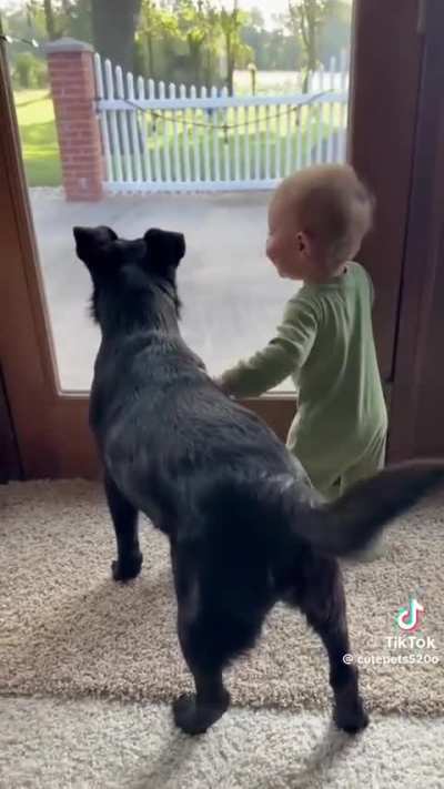 Pure pup joy!