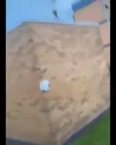 Se a vizinha não devolve a gente pega de volta custe o que custar kkkkkkkk