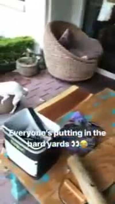 Everyone Is Working Hard