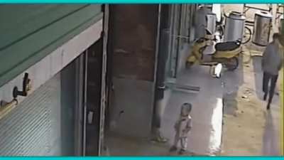 Alley Fight