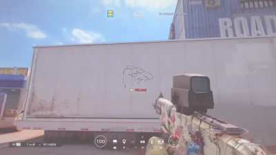 RIP IceyCat25 [Made: Dec. 15]