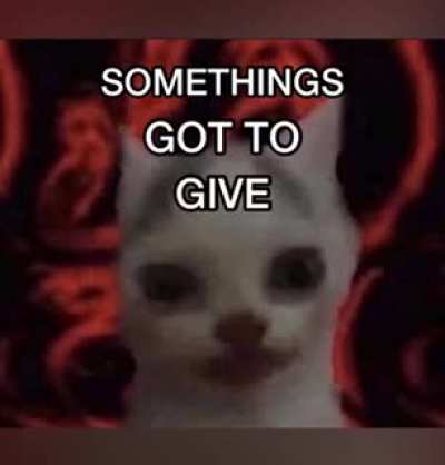 Cat rule