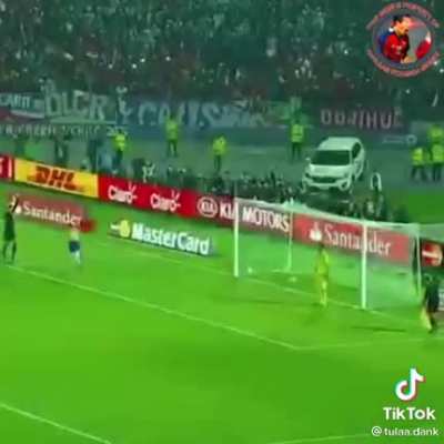 Claudio Palma 😳