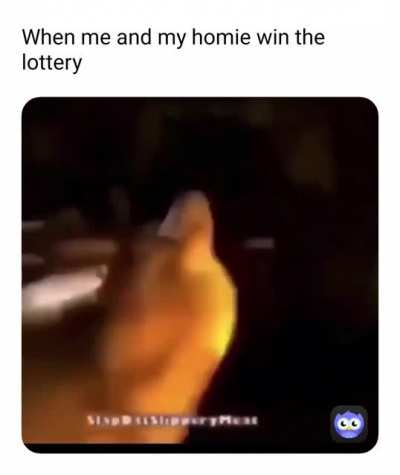 We got the money bois