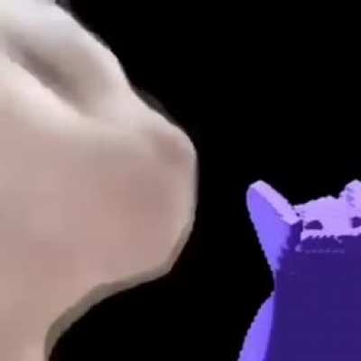 nE