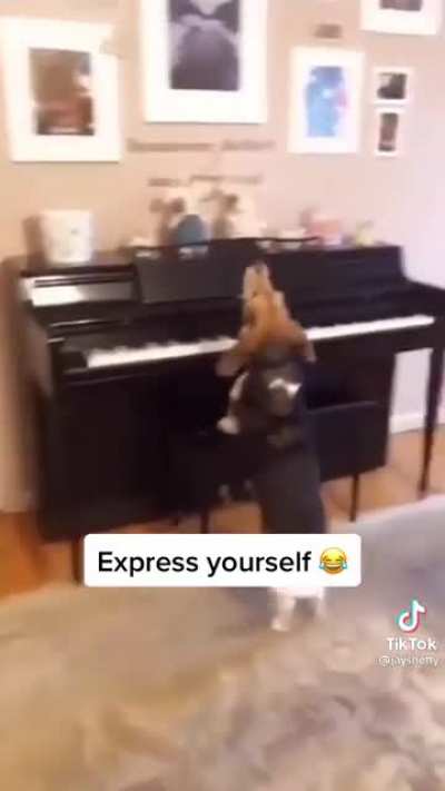 A true masterpiece