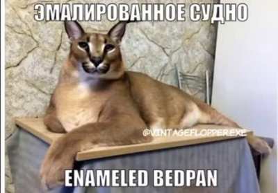 Пост-панк шлёпа😳