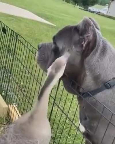 Bro, i see some food right there and there omn nom nom