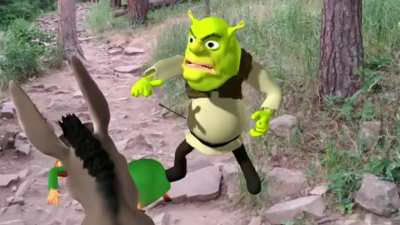 I love the new Shrek remake