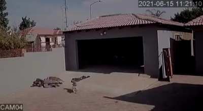 To steal from a garage