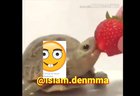 turtel find on minec’raft🕋 يمارس الجنس baeutifal camel vidioمع الأسود الحرةdownlod ن😳يغا