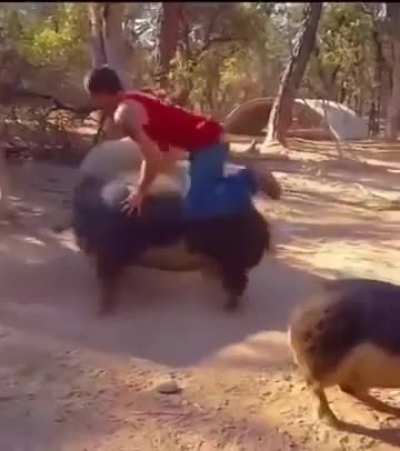Quando a tua mota não pega e tás atrasado para um date ...