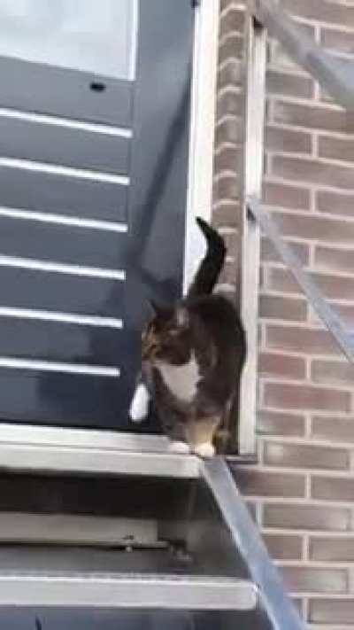 Open the door