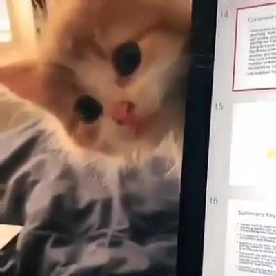 <3!