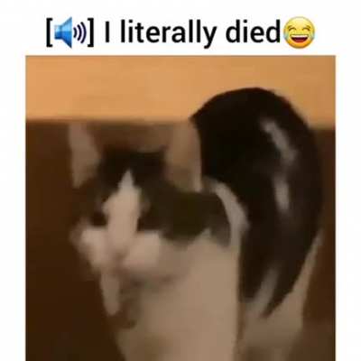 Ahhh HELL NOOOO!!!