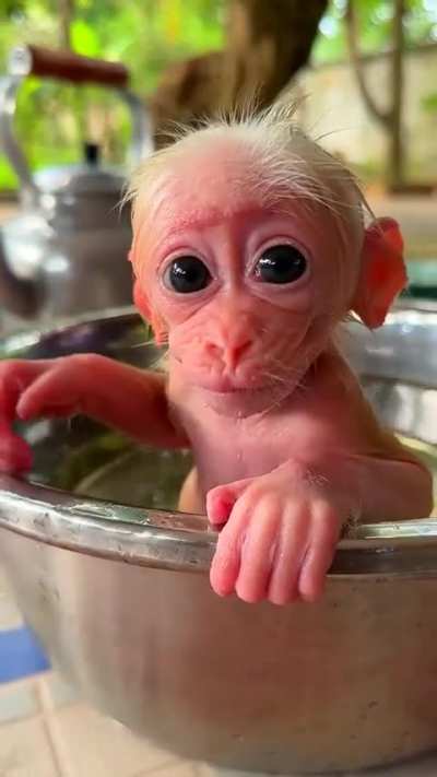 Am I cute?