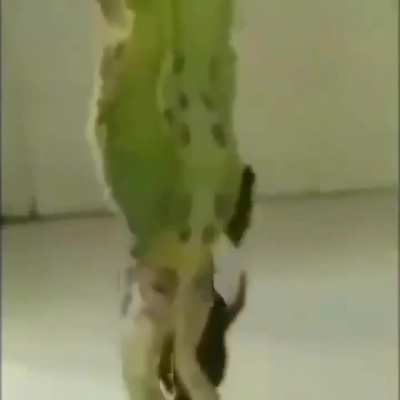 Bhaiya bhosdika