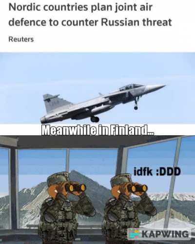 The New Nordick Airforce